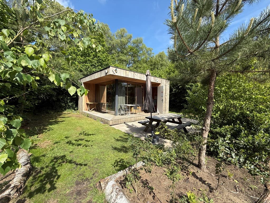 Moderne vakantiewoning met grote ramen, terras en tafel met banken in een groene bosrijke omgeving.