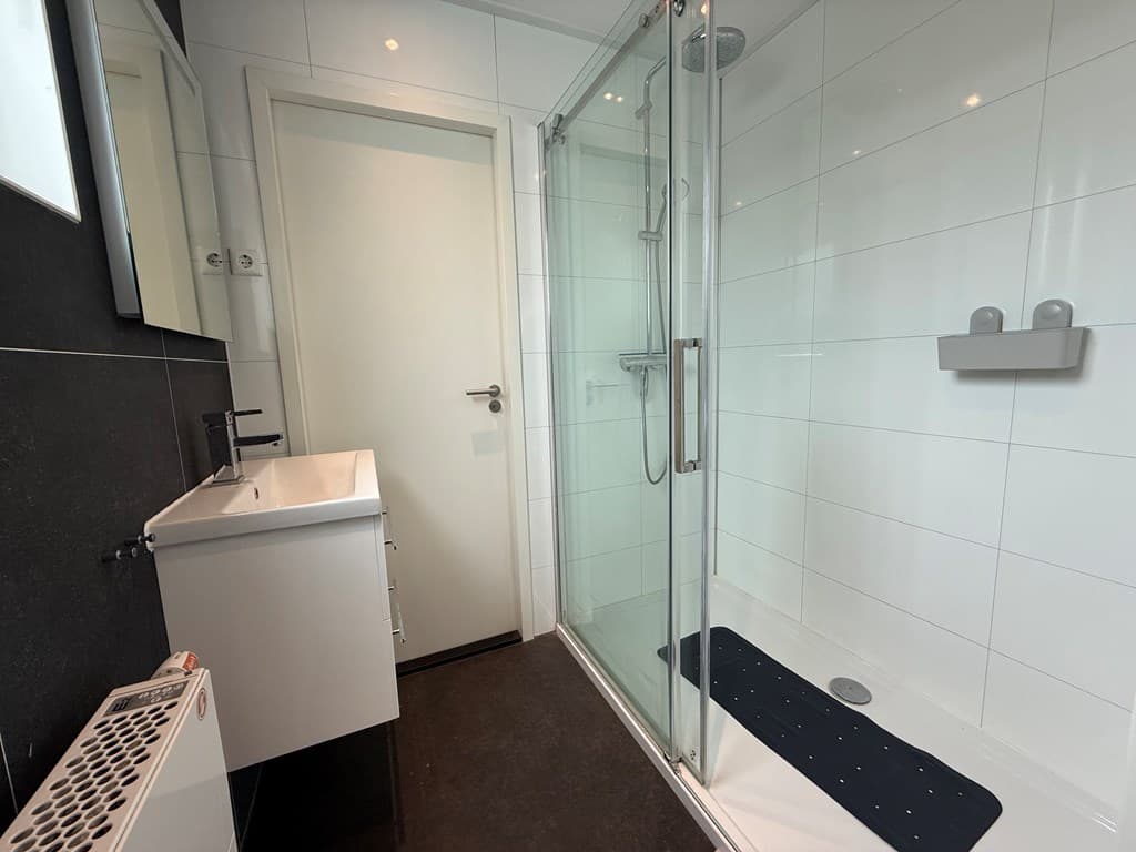 Moderne badkamer met inloopdouche, wastafel en donkere vloertegels in EuroParcs Buitenhuizen.