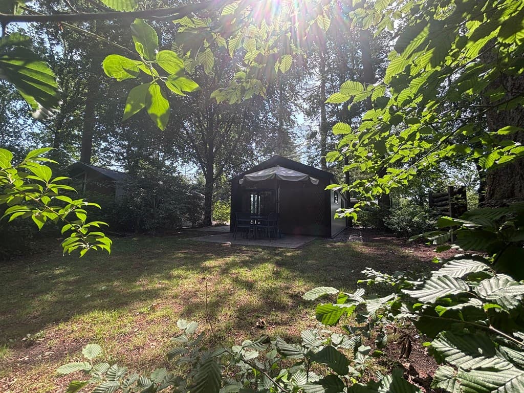 Zicht op een houten vakantiewoning omringd door bomen en struiken, met een terras en een zonnige uitstraling